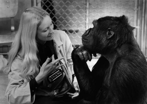 penny-and-koko